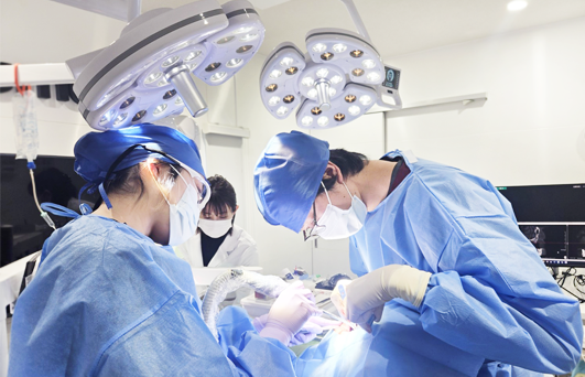 歯科医師のオペ風景